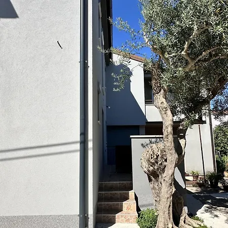 Krizman In A Great Location